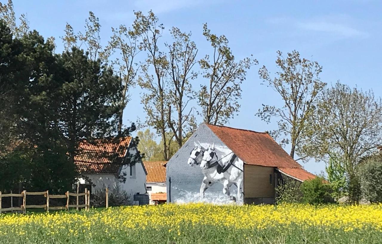 La Ferme Wessiere Konuk evi Oye-Plage Dış mekan fotoğraf